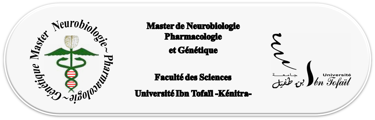 np master